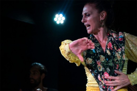 Cena y Flamenco en Madrid