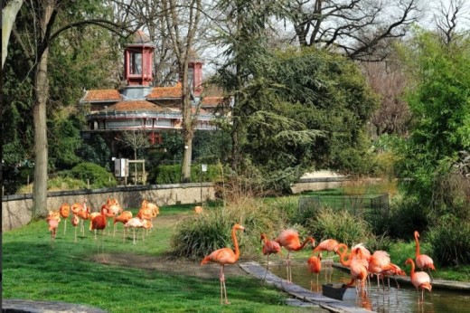 Visite de la Ménagerie, le Zoo du jardin des plantes - 2 billets (3-25ans)