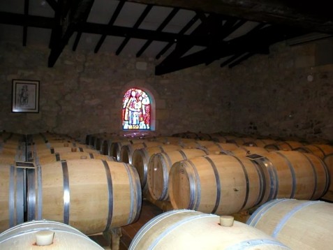 Bordeaux beaches and vineyards tour