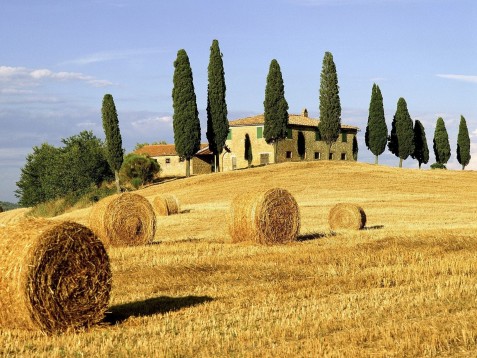 The best of Tuscany day trip from Florence