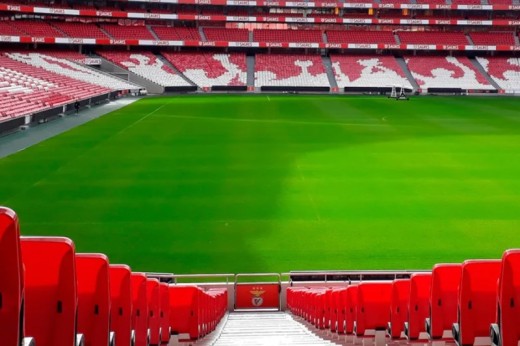 Pack SLB - Estádio & Museu + Cachecol + Prova de Vinhos p/2