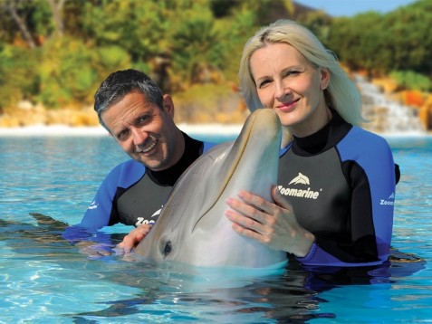 Swim with Dolphins in Portugal - Private Session for Two