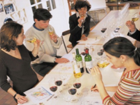 Ontdekking van wijn en olijfolie - Bouches-du-Rhône (13)