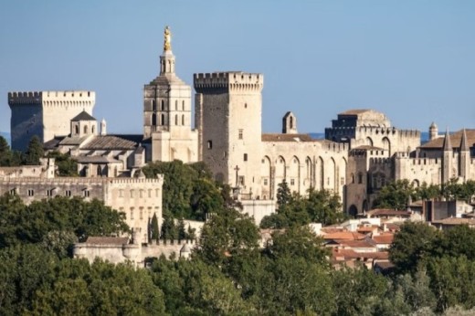 Visite du Palais des Papes et du Pont d'Avignon - Billet enfant - (8-17ans)