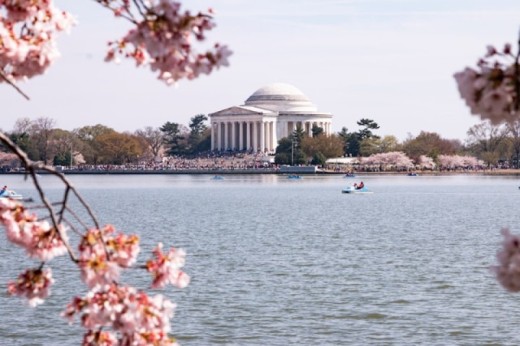 Two-day Washington D.C, Philadelphia and Amish Country tour from NYC