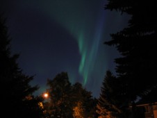 Hunting aurora with reindeer in Lapland