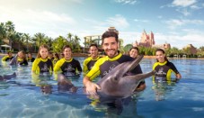 Play With Dolphins (Shallow Water)