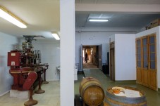 Experiencia de Enoturismo Cellers Blanch en Tarragona - 2 personas