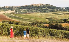 Week-end bike tour of Burgundy region