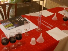 Ontdekking van wijn en olijfolie - Bouches-du-Rhône (13)