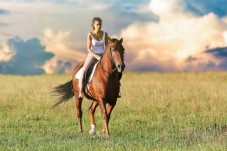Passeio a Cavalo na Guarda