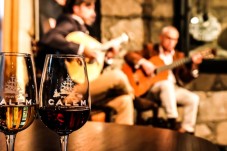 Visite des caves Cálem + Spectacle de Fado à Porto