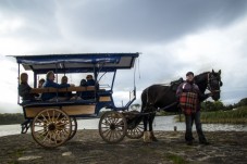 Killarney Jaunting Car Tour to Ross Castle (4 Adults)