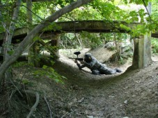 Paintball-Tour - Wien