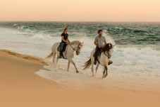Balade à cheval en bord de mer à Setúbal pour 2