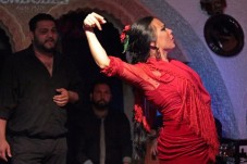 Flamenco en diner voor twee