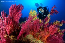 Doppia Immersione Isole Eolie – Lipari e Vulcano