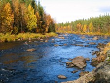 Challenging white river rafting in Lapland for four