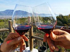 Sampling of Friulian wines with San Daniele prosciutto at the Russiz Villa