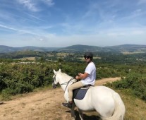 From Dublin: Wicklow, Powerscourt & Glendalough Day Tour