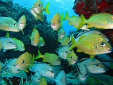 3 Day Ecomagic Jungle Tour in Peru