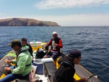 Pesca Embarcada em Peniche | Privado até 6 pessoas