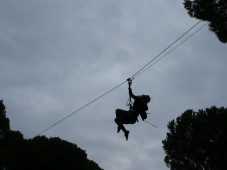 Aventura en los árboles en Sevilla