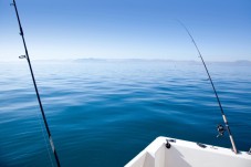 Pesca Embarcada no Algarve (3h)