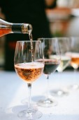 Barolo and Barbaresco wine tasting between Langhe and Roero