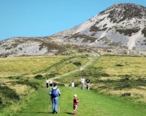 From Dublin: Wicklow, Powerscourt & Glendalough Day Tour
