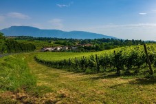 Esperienza Regalo Soggiorno e Picnic in Veneto