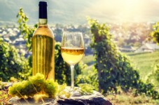 Romanian Wine Tasting Tour for One