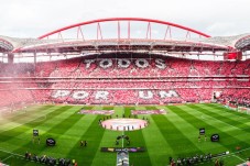 Pack SLB - Stade et Musée + Écharpes + Bon Gourmet - 2 pers.
