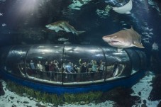 Aquarium van Barcelona - kind (5-15)