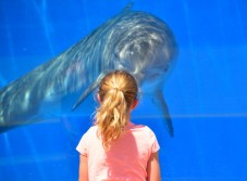 Biglietti per l'Acquario di Genova per Genitore e Figlio