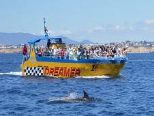 Grutas e Golfinhos no Algarve p/Criança até 10 anos
