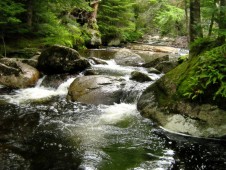 3 Day Ecomagic Jungle Tour in Peru