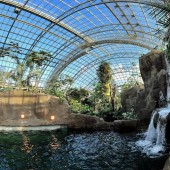 Visite du Parc Zoologique de Paris - 1 Enfant (3-12ans)