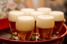 Belgian beers tasting tour