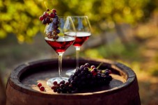 Ávila and Rueda wine tour from Madrid
