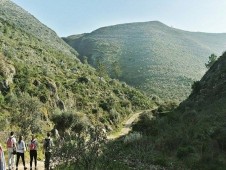 Wellness, Nature & Cooking p/2 **** (5 dias)