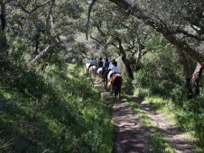 Passeio a Cavalo na Serra de Grândola
