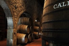 Visite des caves Cálem + Spectacle de Fado à Porto