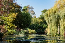 Visit Giverny with audioguide, lunch and transfers included
