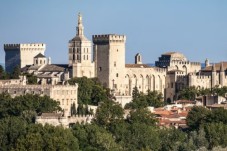 Visite du Palais des Papes et du Pont d'Avignon - Billet enfant - (8-17ans)