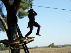 Aventura en los árboles en Sevilla