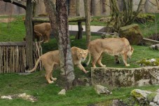 Dagje Aquazoo in Leeuwarden