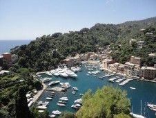 Chauffeured private tour from Livorno harbour with Sassicaia wine tasting