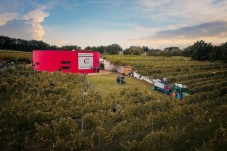 Oenological Escape Game & wine tasting for 4 - Chinon (37)