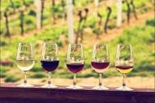 Visite Vinicole d'une demi-journée pour 2 - Bordeaux (33)